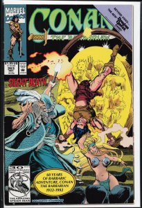Conan the Barbarian #263 (1992) Conan