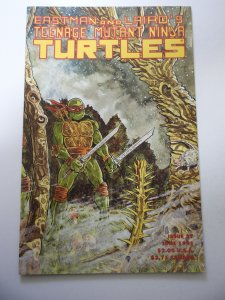Teenage Mutant Ninja Turtles #37 (1991) VF Condition