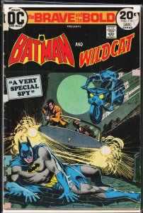 The Brave and the Bold #110 (1974) Wildcat