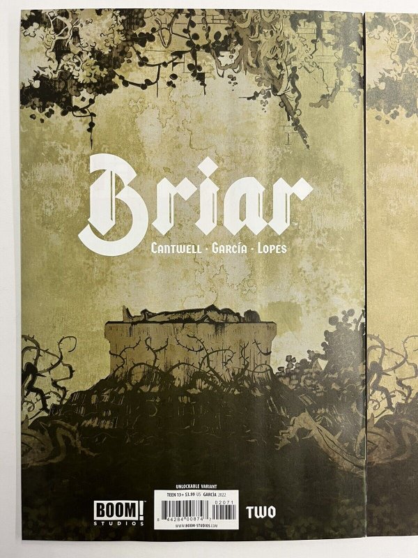 Briar: Vol. 1 by Christopher Cantwell