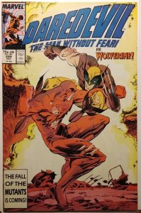 Daredevil #249 (1987)