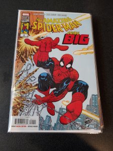 Amazing Spider-Man: Going Big #1 (2019)