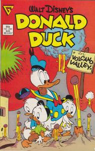 Donald Duck #256