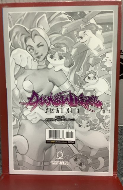 Darkstalkers Felicia #1