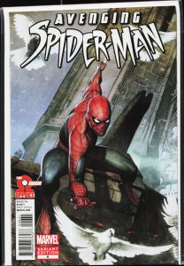 Avenging Spider-Man #6 Granov Cover (2012) Punisher
