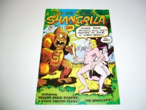 Teen-Age Horizons of Shangrila #2 FN  (1st) joel beck TRINA ROBBINS grass green