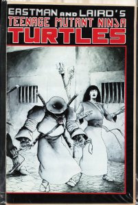 Teenage Mutant Ninja Turtles #17 (1988)