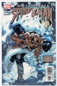 Peter Parker: Spider-Man #51 (2003)