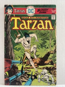 Tarzan #244 DC
