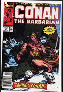Conan the Barbarian #232 (1990) Conan