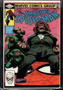The Amazing Spider-Man #232 (1982) Spider-Man