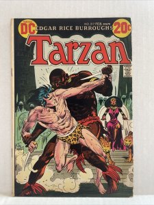 Tarzan #217 DC