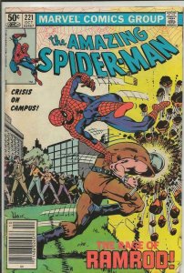 Amazing Spiderman #221 ORIGINAL Vintage 1981 Marvel Comics Newsstand