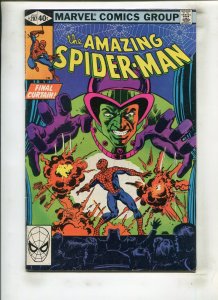 AMAZING SPIDER-MAN #207 (6.0) FINAL CURTAIN!! 1980