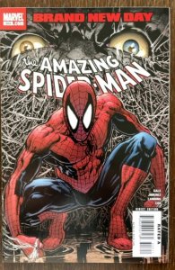 The Amazing Spider-Man #553 (2008)