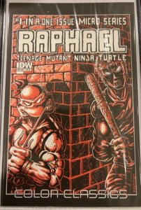 Raphael Teenage Mutant Ninja Turtle (1985) Teenage Mutant Ninja Turtles 