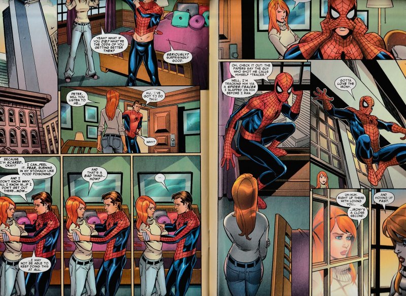 Friendly Neighborhood Spiderman # 1  The Other Part One