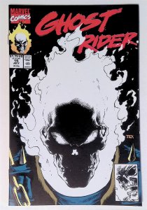 Ghost Rider (Vol. 2) #15 (July 1991, Marvel) 8.0 VF