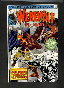 Werewolf By Night #37 3rd Appearance Moon Knight!