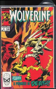 Wolverine #9 (1989) Wolverine