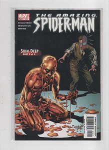 The Amazing Spider-Man #509 thru #518 (2004)