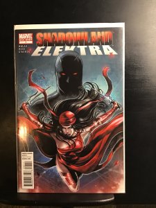 Shadowland: Elektra (2010)