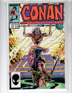 Conan the Barbarian #194 (1987) - [NSC•ECA7]