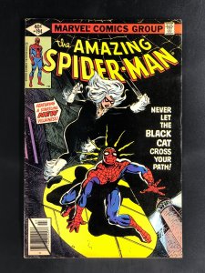 The Amazing Spider-Man #194 (1979) 1st Appearance of the Black Cat