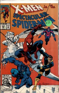The Spectacular Spider-Man #197 (1993) Spider-Man