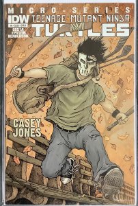 Teenage Mutant Ninja Turtles Micro-Series #6 (2012, IDW) NM-
