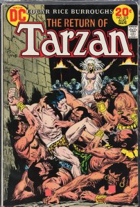 Edgar Rice Burroughs' Tarzan #222 (1973)