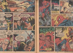 Marvel Team Up(vol. 1) # 8  Spiderman meets The Cat !