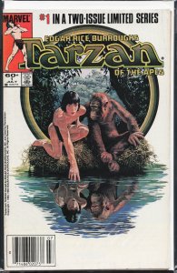 Tarzan of the Apes #1 (1984) Tarzan