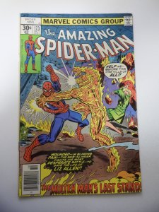 The Amazing Spider-Man #173 (1977) FN Condition