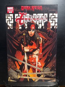Dark Reign: Elektra #1 Variant Cover (2009)