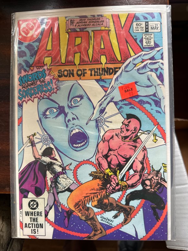 Arak, Son of Thunder #21 (1983)