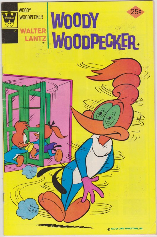 Woody Woodpecker #147