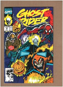 Ghost Rider #16 Marvel Comics 1991 Blaze Spider-man vs. Hobgoblin VG/FN 5.0