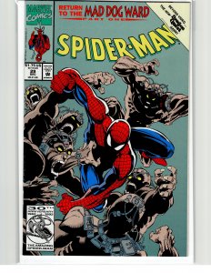 Spider-Man #29 (1992) Spider-Man