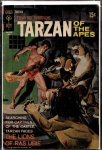 Edgar Rice Burroughs' Tarzan #201 (1971)