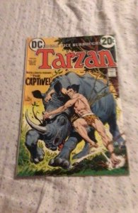 Edgar Rice Burroughs' Tarzan #212 (1972) PRICE DROP $25.00 VF/NM “The ...