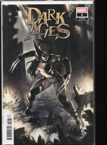 Dark Ages #2 Hetrick Cover (2021)