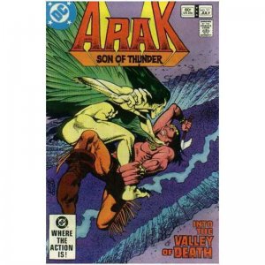Arak Son of Thunder #11 DC Comics July Jul 1982 (FNVF)