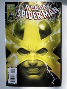 Web of Spider-Man #2 - NM (2010)