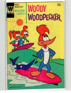 Walter Lantz Woody Woodpecker #132 (1973) Woody Woodpecker