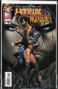 Witchblade/Wolverine Variant Cover (2004) Witchblade