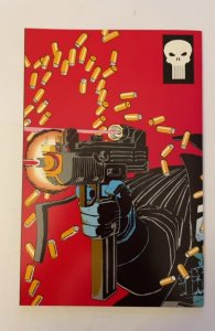 The Punisher: War Zone #1  (1992)