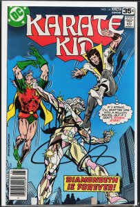 Karate Kid #14 (1978) Karate Kid