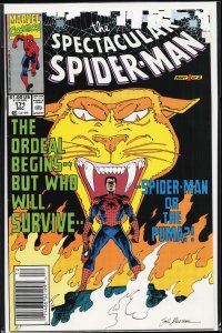 The Spectacular Spider-Man #171 (1990) Spider-Man