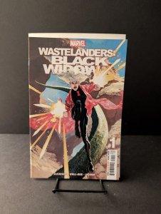 Wastelanders: Black Widow #1 Josemaria Casanovas Cvoer (2022)